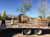Crews took inventory of native plants along the Pecos Road right of way that could be removed, stored, maintained and eventually replanted.