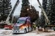 Loading the tree onto the Kenworth T680 1.
(Photo Credit: James Edward Mills / Choose Outdoors)