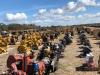 The largest selection of diesel engines in the world is available every year at the Yoder & Frey Florida sale.
