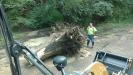 The department removes a tree stump after a storm.