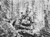  A Caterpillar tractor is used to cut the road through forest.
(Library of Congress photo)