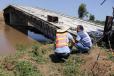 Chinese engineers inspect Sigiri bridge in Budalang'i on June 27, 2017. A team of experts from various organizations are on the ground to determine what could have led to the collapse. 
(Tonny Omondi | Nation Media Group photo)