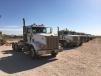 Several day cab truck tractors are lined up and ready for the auction. 