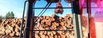 Log trucks deliver raw western red cedar logs from Oregon, Washington and Canada.
