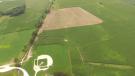 The new baseball field is being constructed in a former cornfield near the original “Field of Dreams” movie field in Dyersfield, Iowa. 