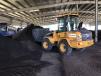 Mirimichi Green’s Volvo L30G compact wheel loader works to haul product during the curing process. 