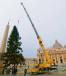 The efficiency of the Grove GMK5250L-1 enabled I.B.A. Crane to accurately lift and position the Christmas tree with minimal disruption to the public. 