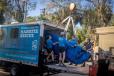 ZooTampa transports manatees from around the state to their care center in Tampa Bay.  