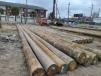 Timber piles were driven 60 ft. deep. These piles will support the concrete slabs.(Impetus photo) 