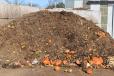Food waste that has been gathered from local restaurants, roadside stands, schools and other facilities is mixed with wood chips and manure in its first phase, while waiting to be added to the compost windrows.
(CEG photo) 