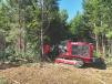 Chase Allen provides forestry mulching services with a Fecon FTX150-2 mulching tractor at a property in North Carolina. (Linder Industrial Machinery Company photo) 