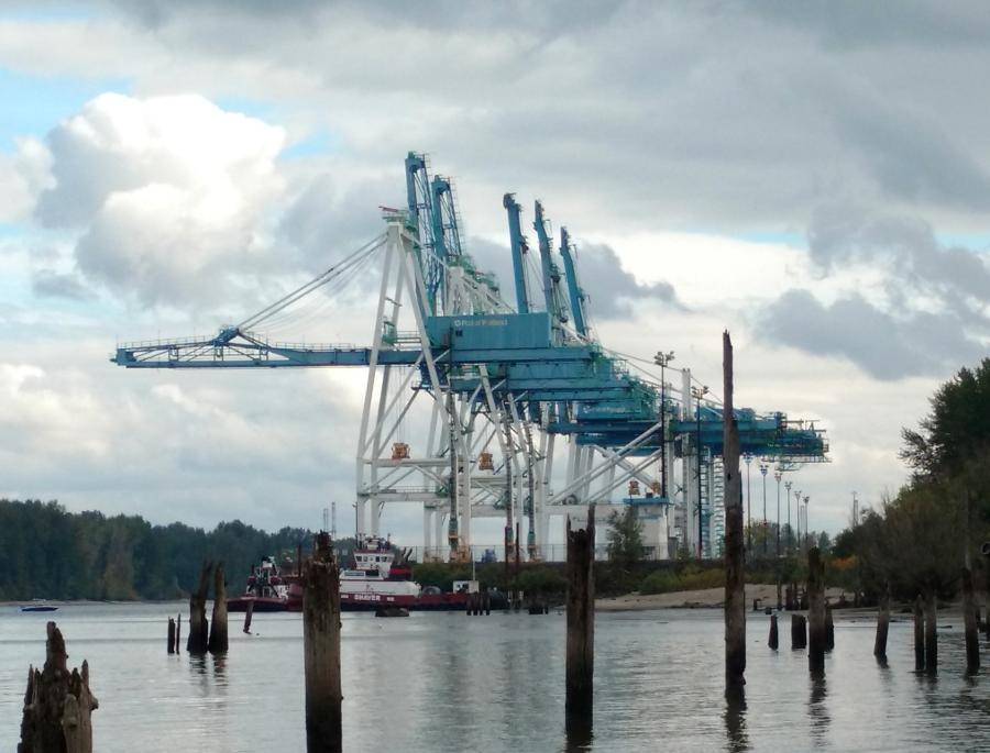 Image courtesy of M.D. Stevens.  Marine Terminal 6 cargo cranes from Kelly Point Park in Portland, Oregon.