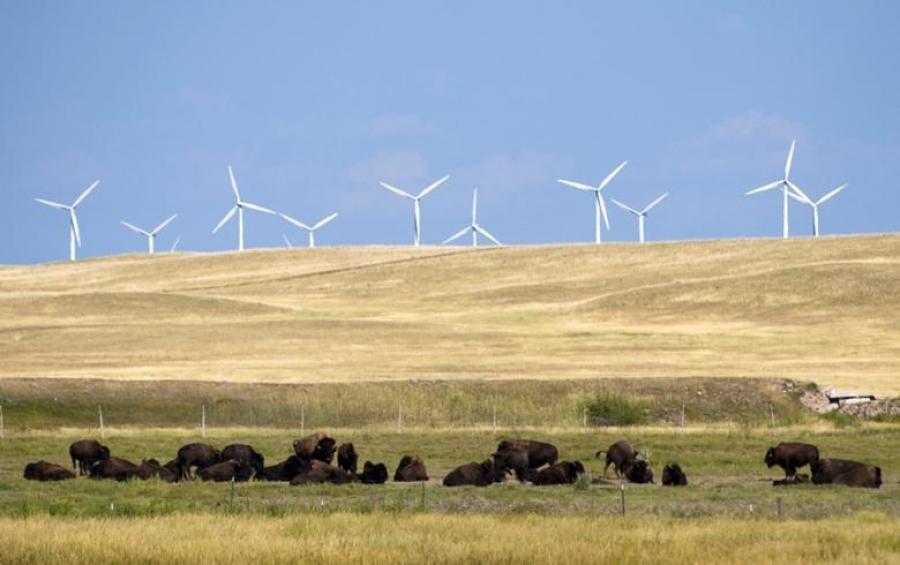 Wind farm in Montana.