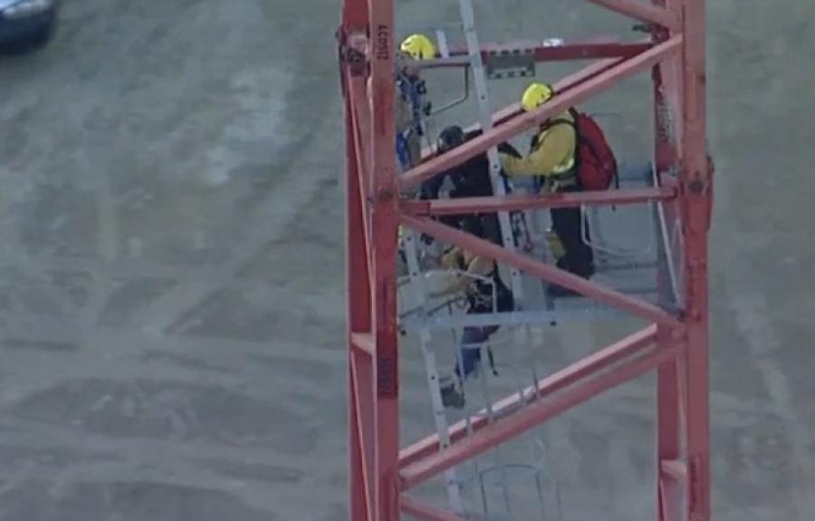 After being locked in the cab of the crane the woman came down with officers in a safety harness.