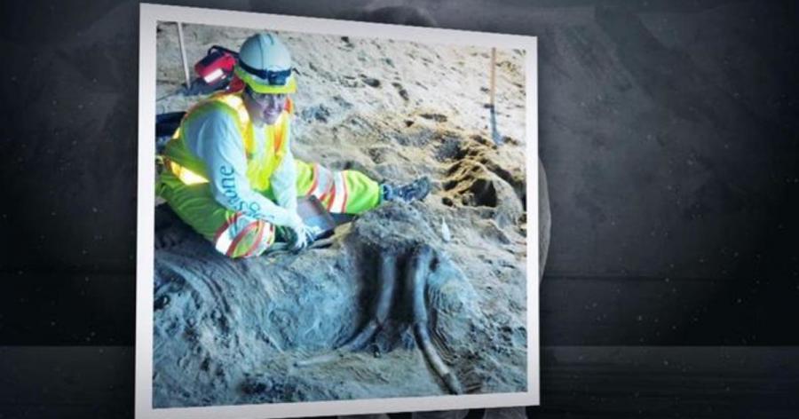 A three-foot section of tusk that's at least 11,000 years old, and a nearly complete skull were found at the site.(Photo Credit: CBS News)