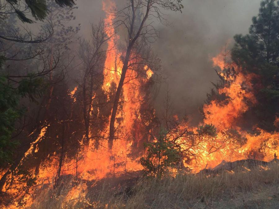 Federal Highway Administration (FHWA) officials today announced the immediate availability of $1 million in “quick release” Emergency Relief (ER) funds to help begin repairs on roads and bridges in Oregon damaged by wildfires that began last July.
