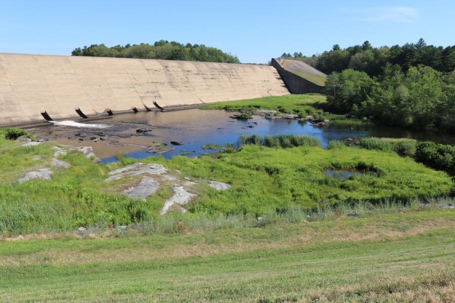 A review of dam inspection reports in northern New England found problems similar to those plaguing structures nationwide. Dams were cracking and eroding. Spillways were clogged with debris or unable to withstand 100-year floods. Animal burrows and overgrown vegetation plagued many structures, problems that can eat away at earthen dams.