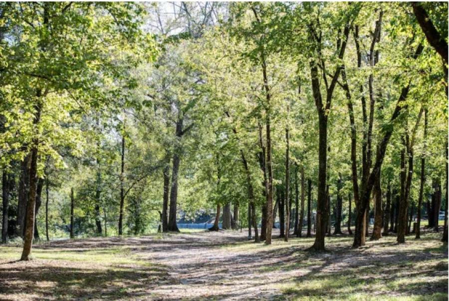 The Helena City Council approved a funding proposal that will move the Helena Greenway project, that will see all of the city’s trails connected and construct new trails.