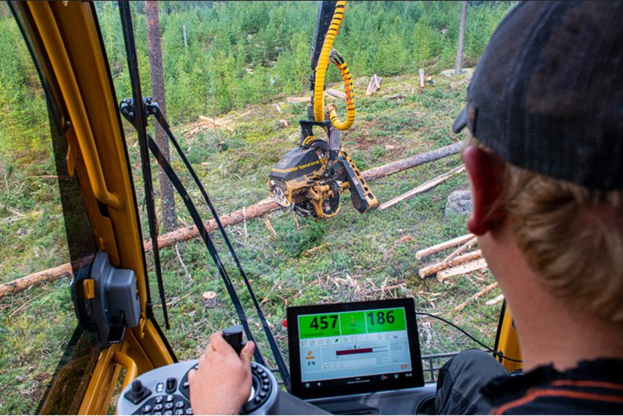 Using multiple layers of matrices correlating price, demand and production limits to each log size under each tree species, the control system optimizes each processed tree to achieve the best value.
