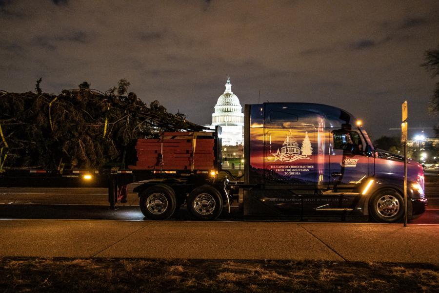 The tree was delivered to West Lawn, U.S. Capitol Building, Washington, D.C. on Nov. 18. (James Edward Mills photo)