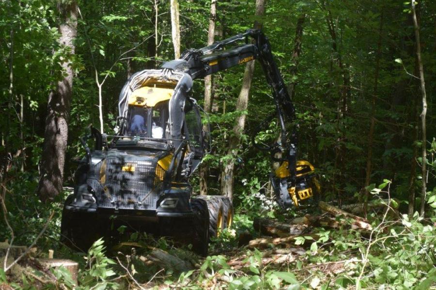 The Ponsse Scorpion King harvester cuts its way through the woods.
(CEG photo)