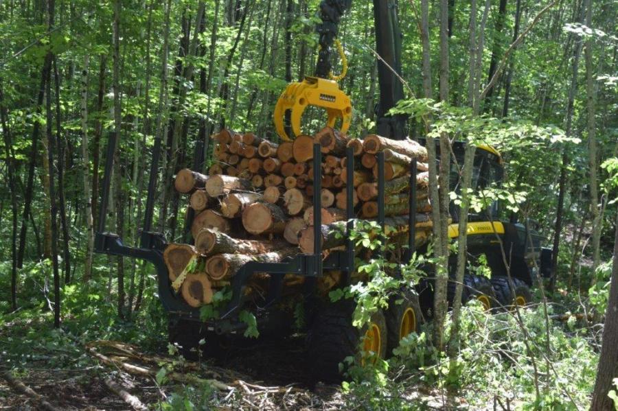 The Ponsse Buffalo forwarder works in the woods. 
(CEG photo)