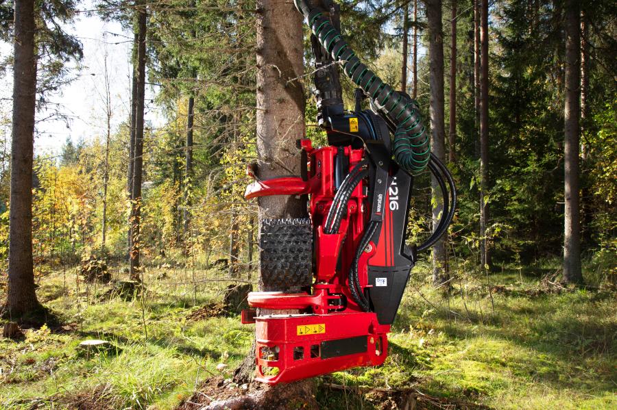 Built for hardwood, the H216 is strong enough to handle the toughest tree forms with accuracy and efficiency.